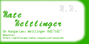 mate weltlinger business card